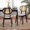 Baxton Studio Darrion Mid-Century Modern Cream Fabric and Black Finished Wood 2-Piece Dining Chair Set 234-2PC-13299-ZORO - alternate 3